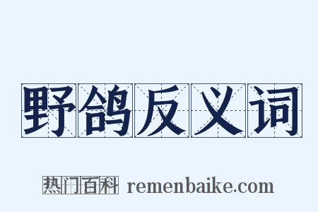 野鸽反义词是什么意思的图片